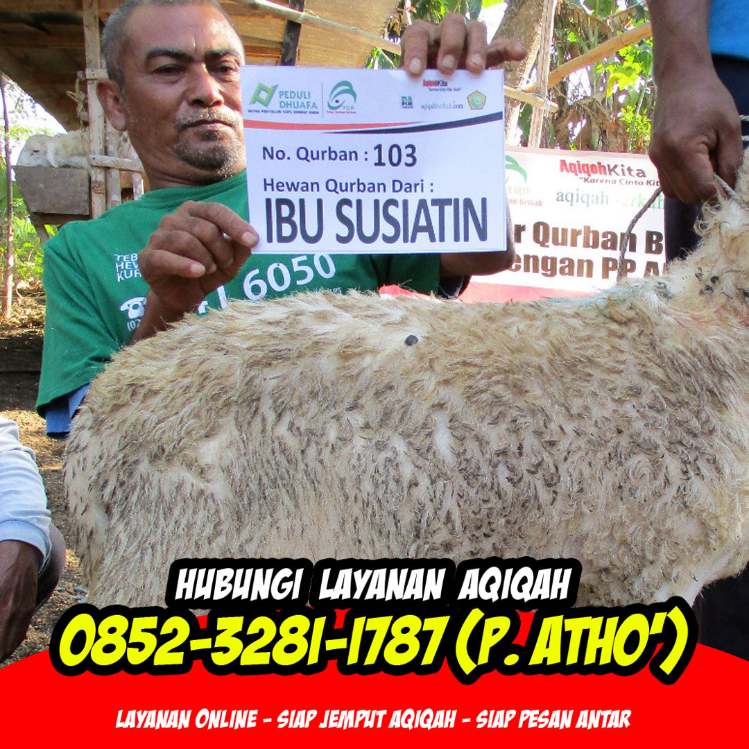 akikah kediri
